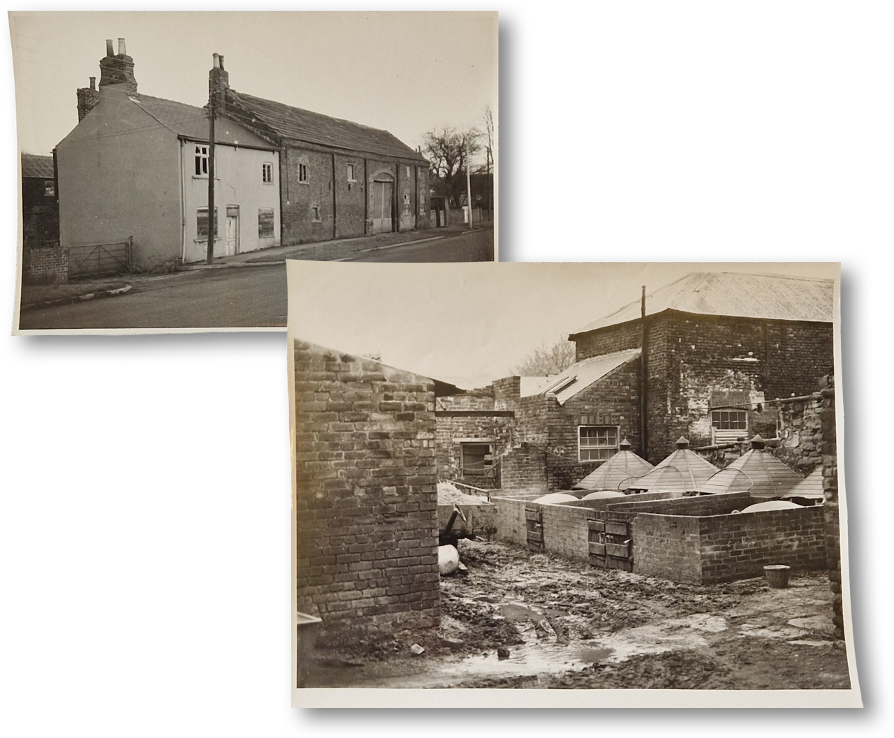 Two old black and white photographs, one shows a house with an adjoining barn and the other shows farm buildings and pig pens, the foreground is muddy.